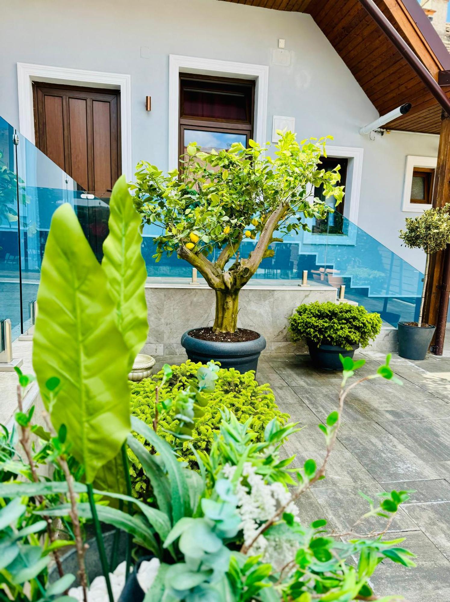 Boutique 17B Aparthotel Sibiu Buitenkant foto